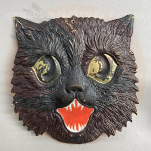 Cat, Face Detail ~7"